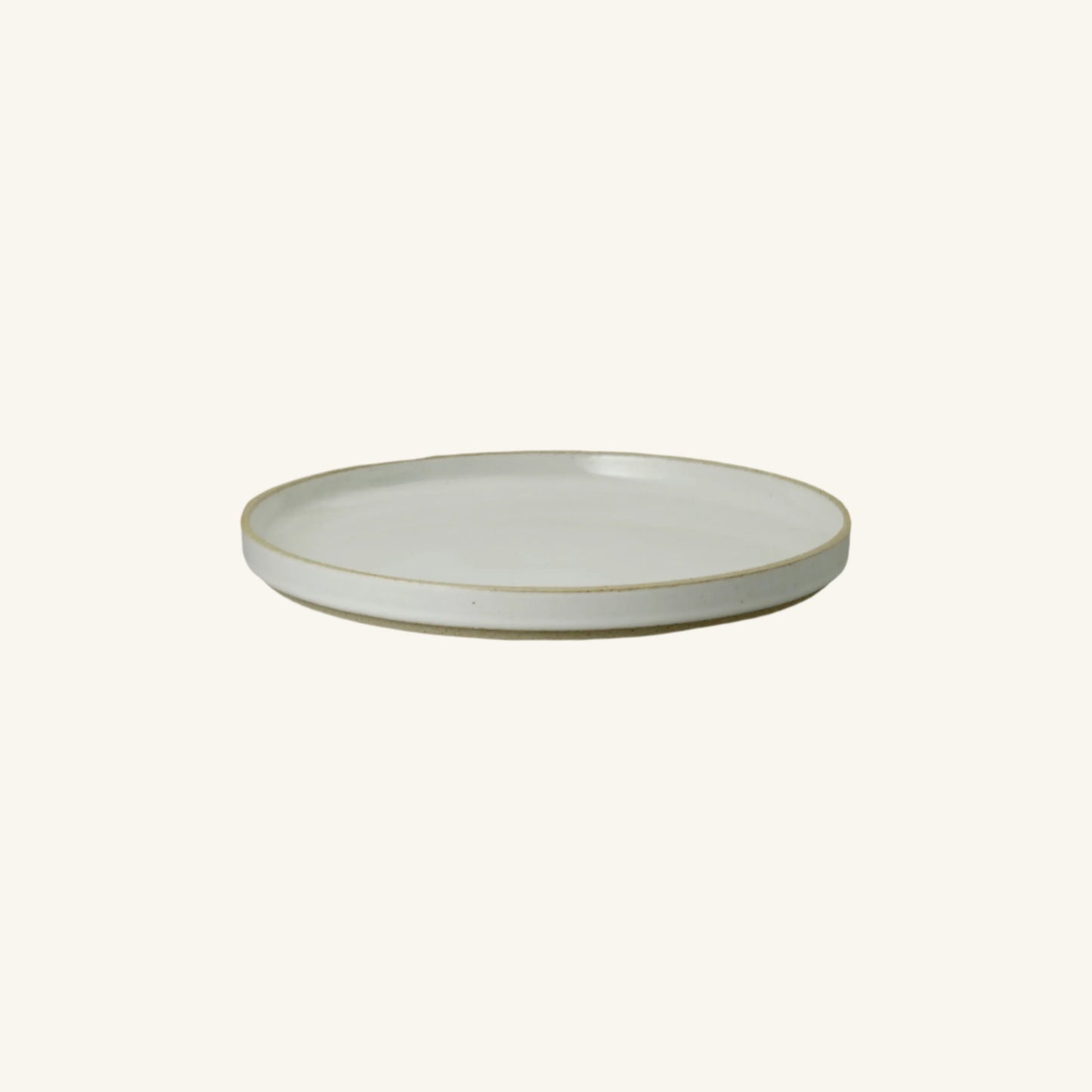 Hasami Porcelain Japan (Glossy)