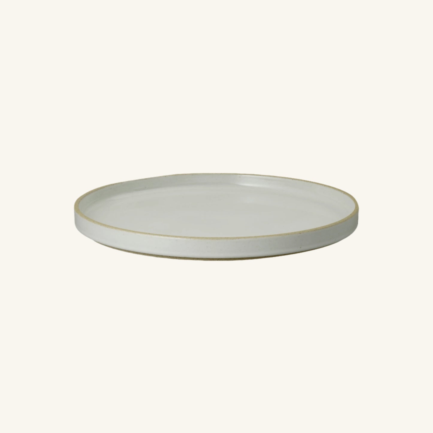 Hasami Porcelain Japan (Glossy)