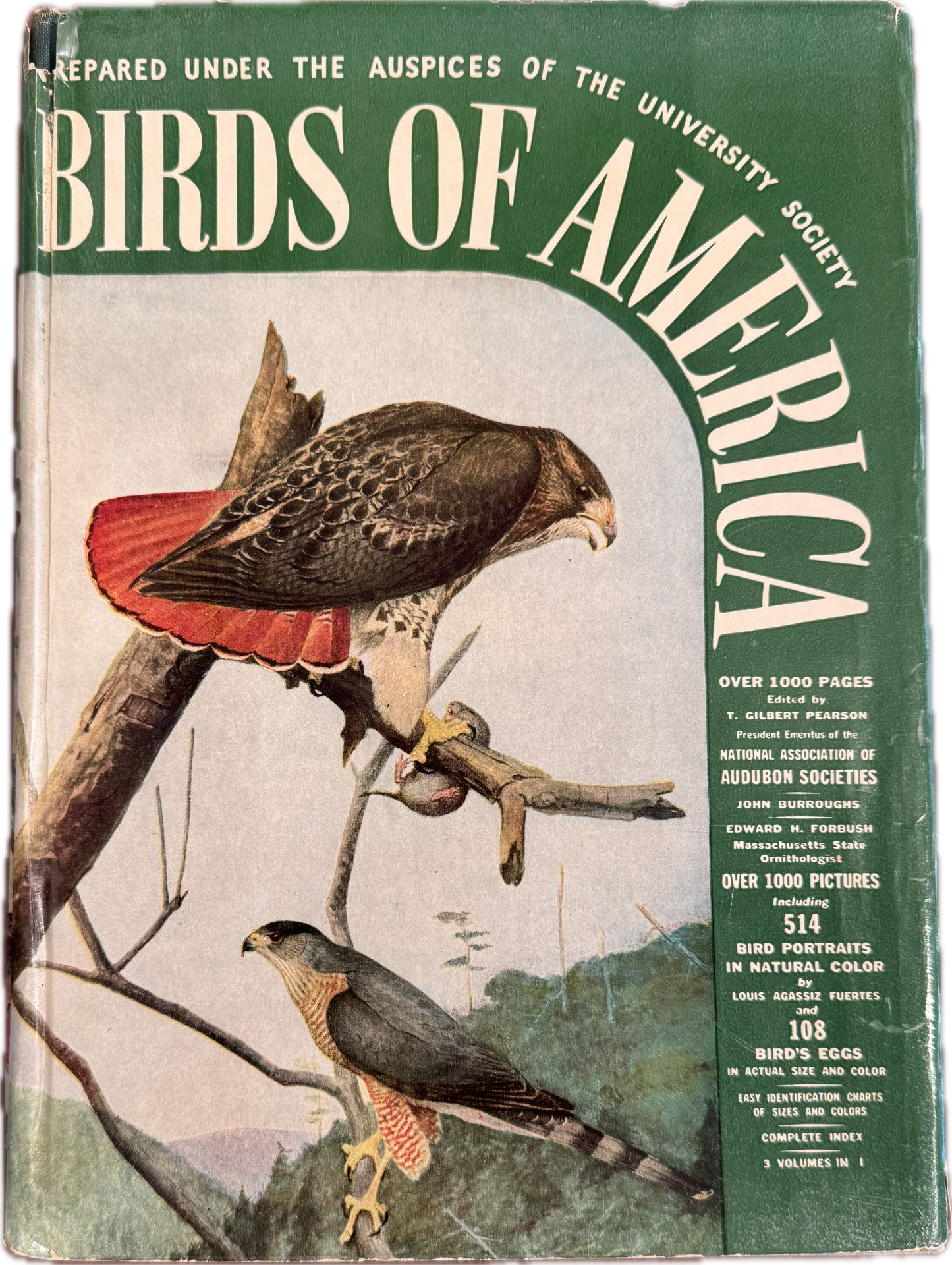 Birds of America 1936