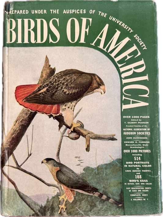 Birds of America 1936