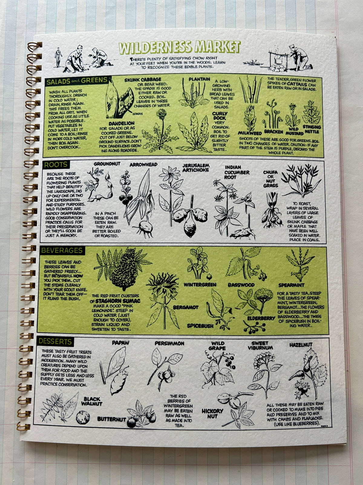 Nature Guides Notebook : Types of Packs Lined