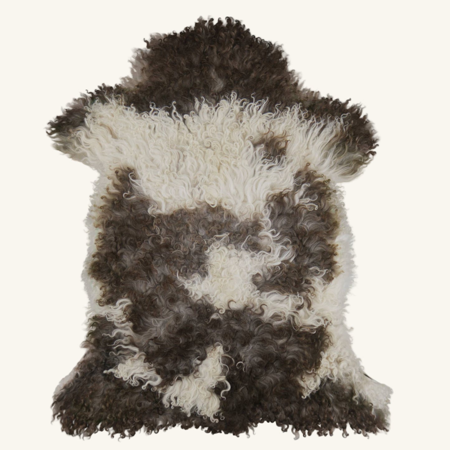 Curly coat Icelandic Sheepskin