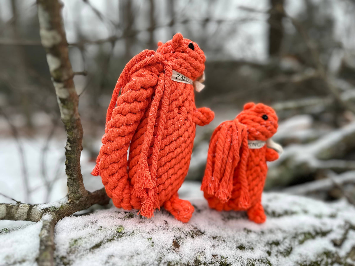 Oliver the Squirrel Rope Toy | Handcraft : Large