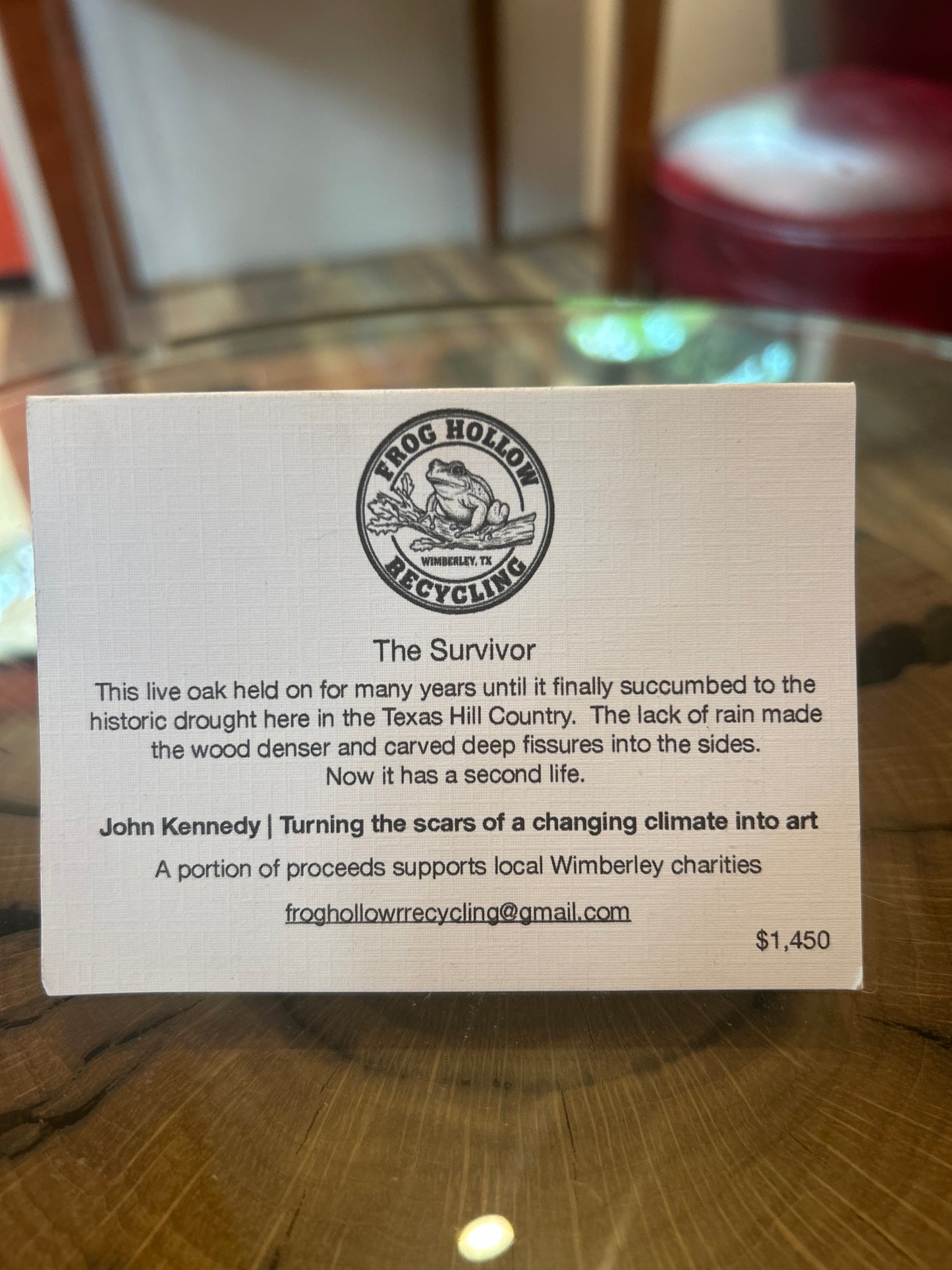 The Survivor by John Kennedy