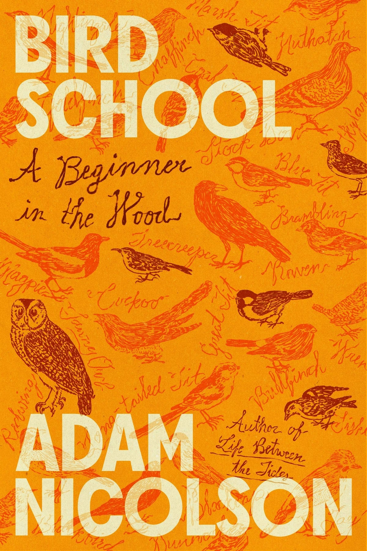 Bird School: A Beginner In The Wood