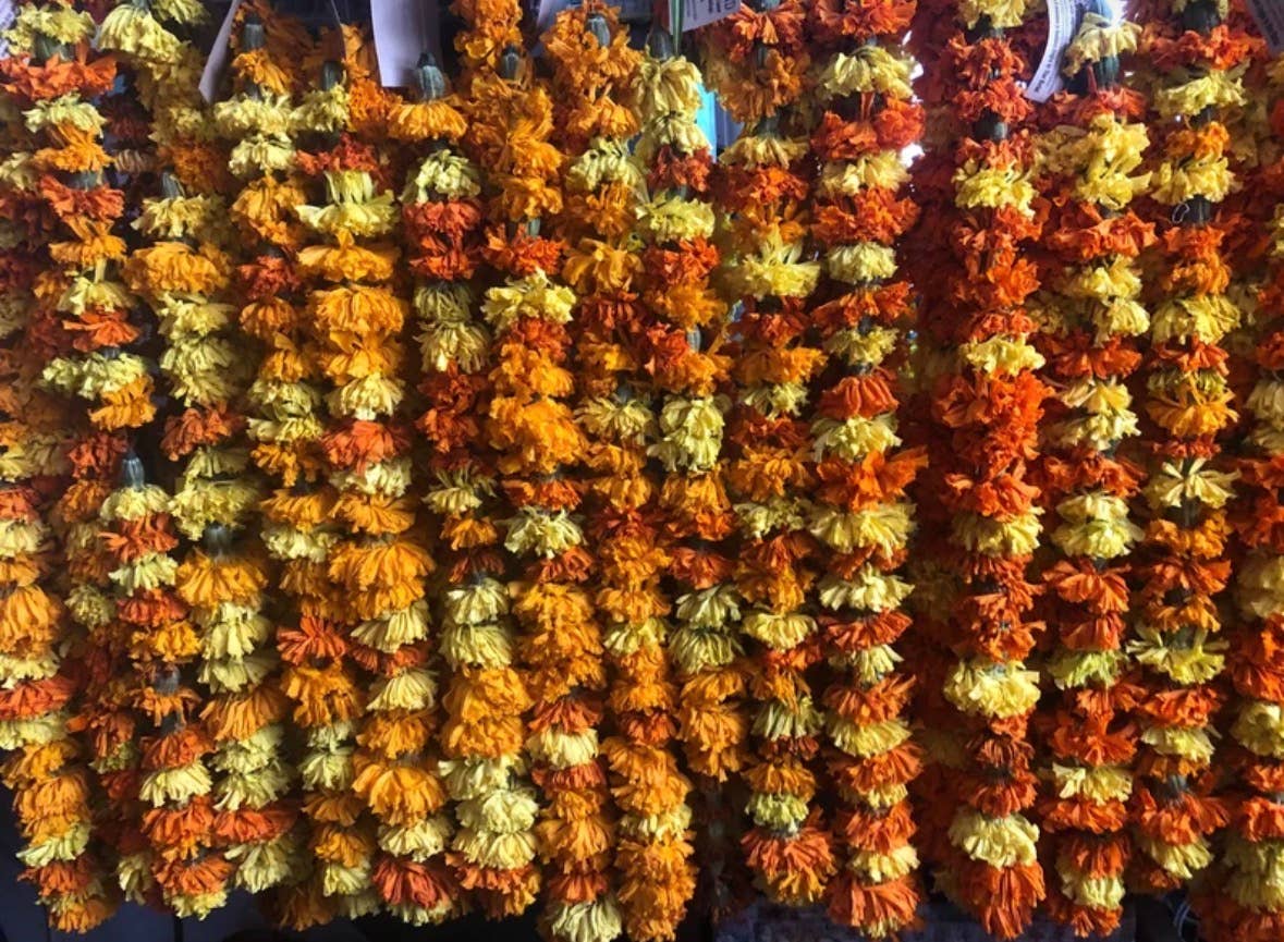 Dried Marigold Garlands