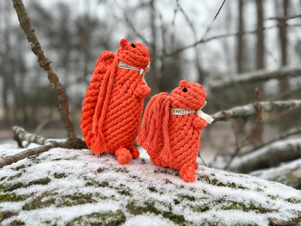 Oliver the Squirrel Rope Toy | Handcraft : Large
