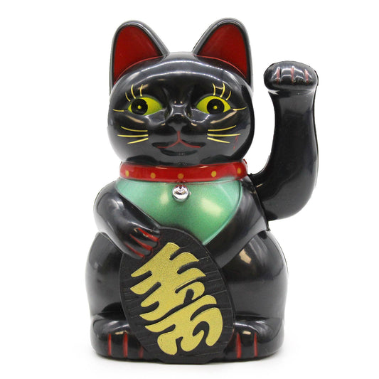 Black Money Cat