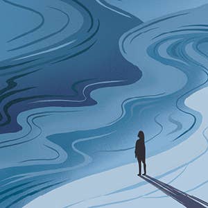 The Illustrated Meditations