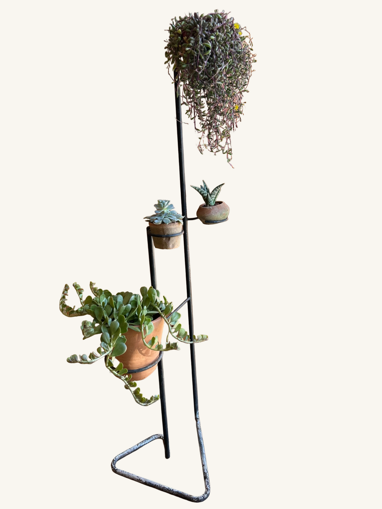 Plant Stand
