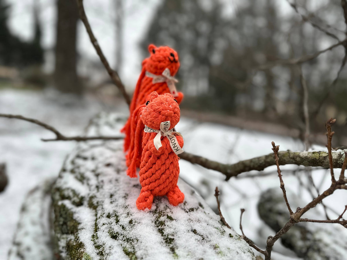 Oliver the Squirrel Rope Toy | Handcraft : Large