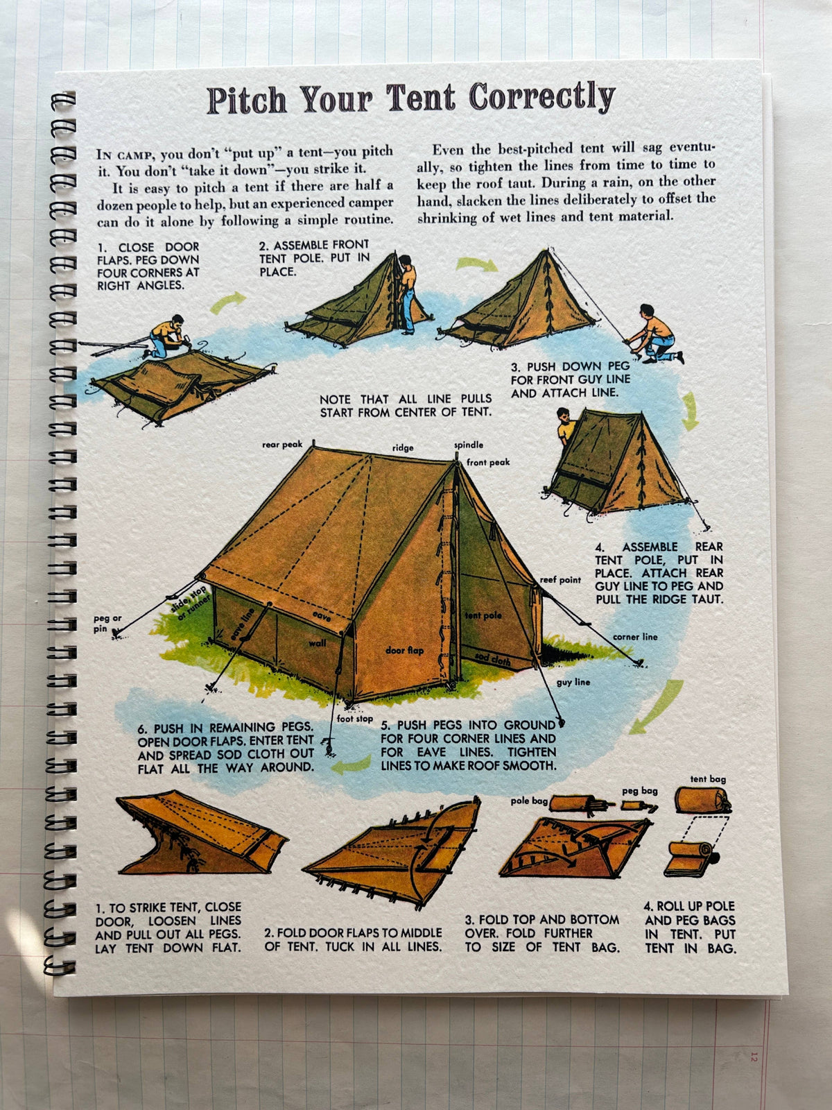 Nature Guides Notebook : Types of Packs Lined