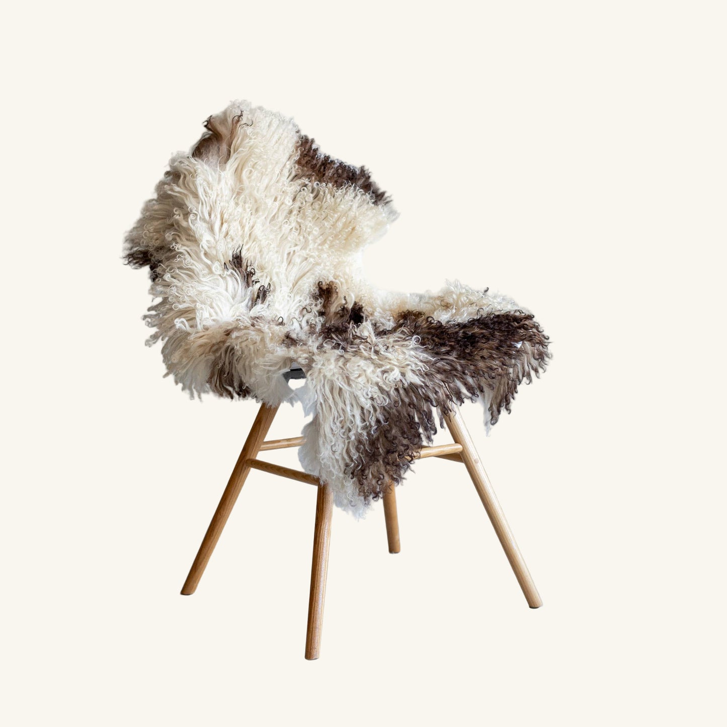 Curly coat Icelandic Sheepskin