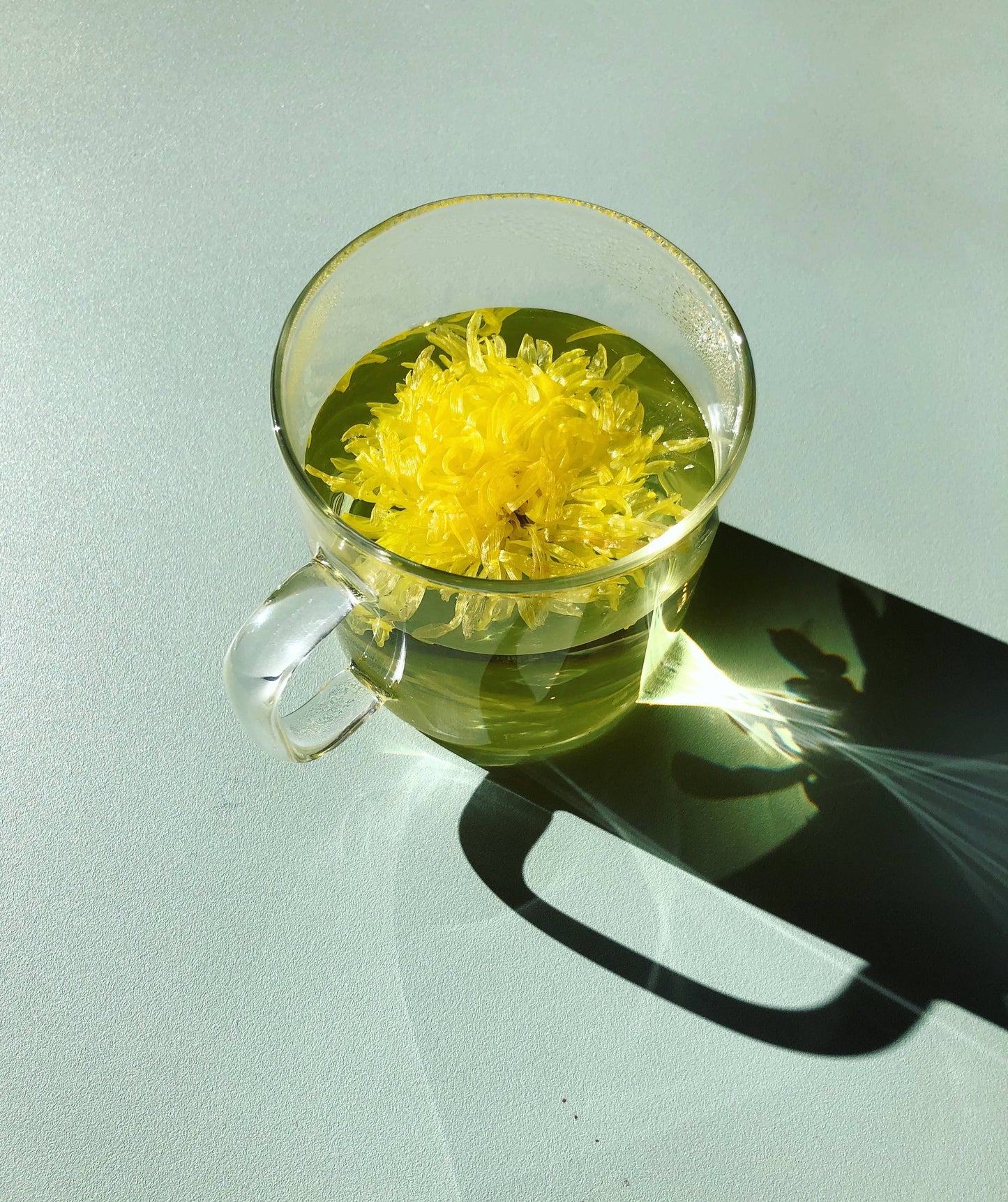 Individually Wrapped Flower teas (herbal tea)