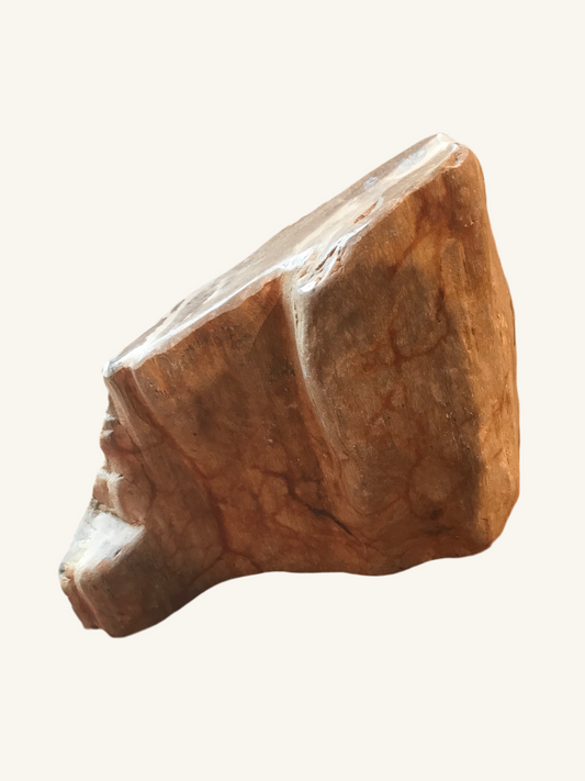 petrified wood door stop