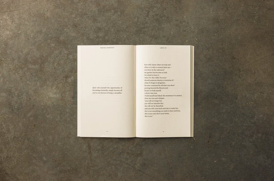 Look Up (book)
