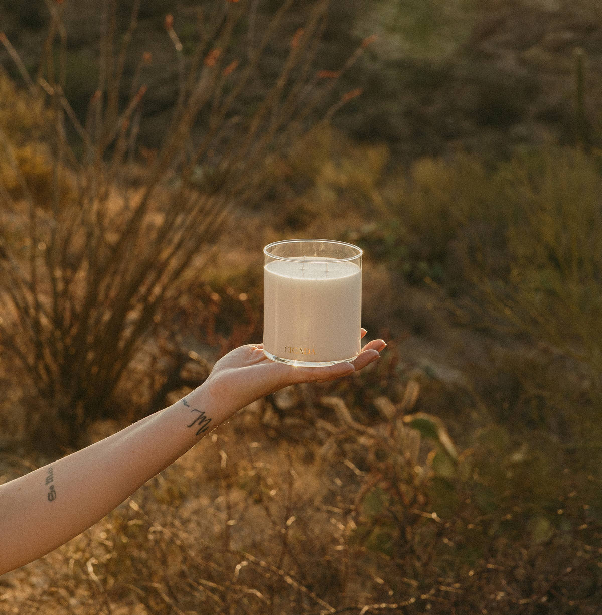 WILD PRAIRIE Large Candle