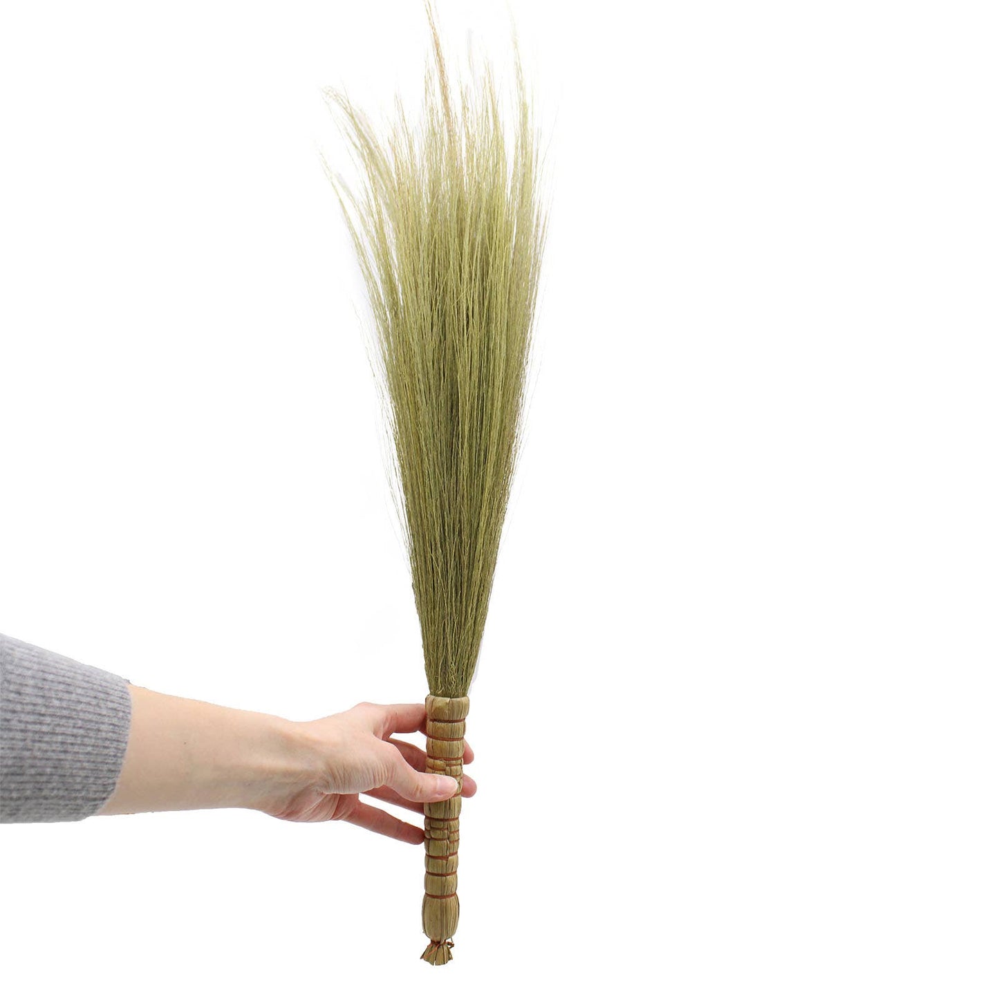 Indonesian Pampus Broom