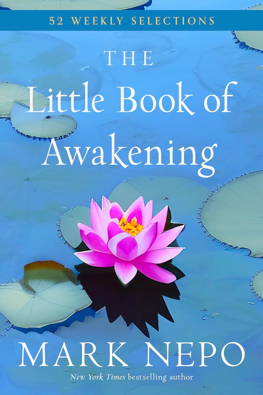 The Little Book of Awakening