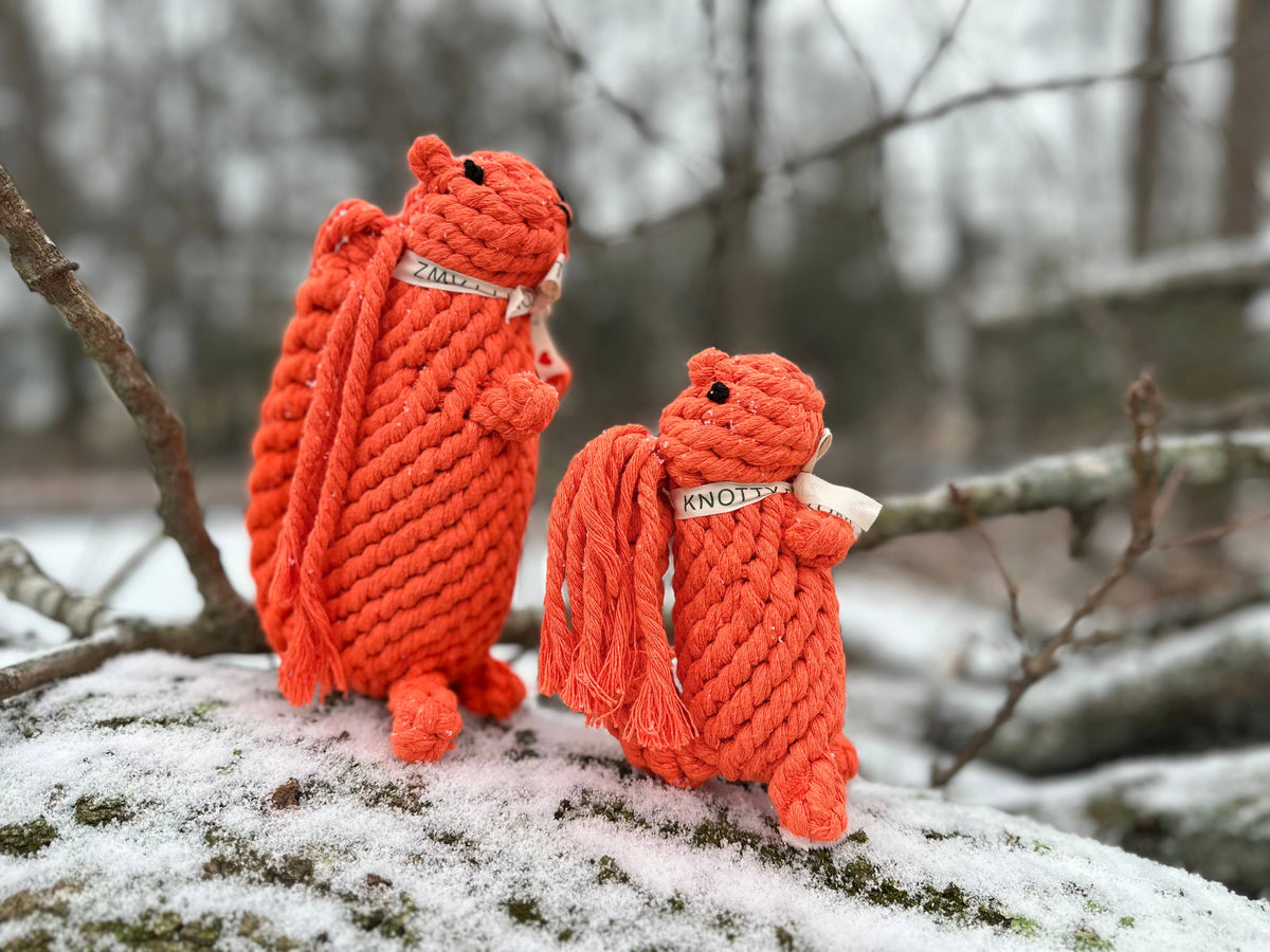Oliver the Squirrel Rope Toy | Handcraft : Large