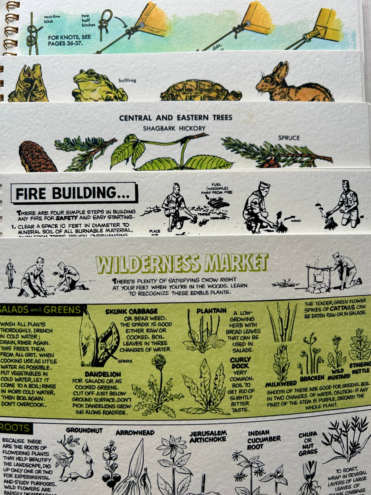 Nature Guides Notebook : Types of Packs Lined