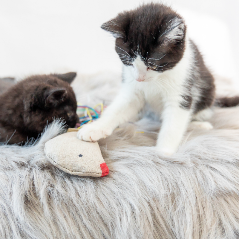 Natural Hemp Cat Toy - Eco-Kitty Bird