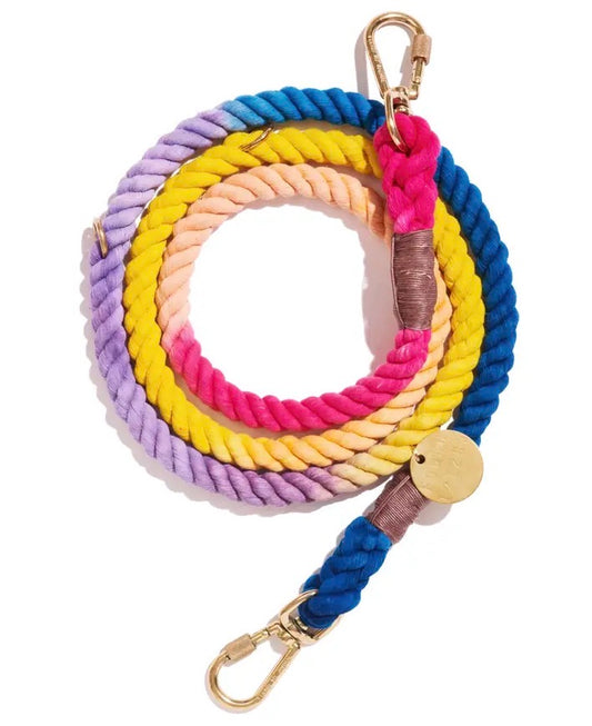 Adjustable Dog Leash— light prismatic M