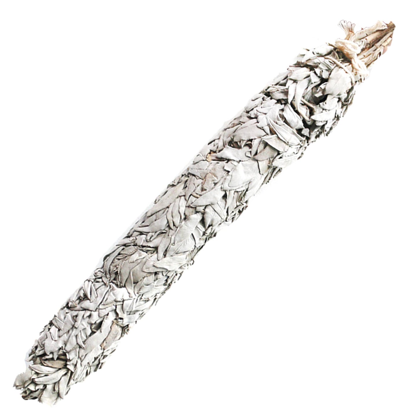White Sage Smudge Stick - California Jumbo (20 in.)