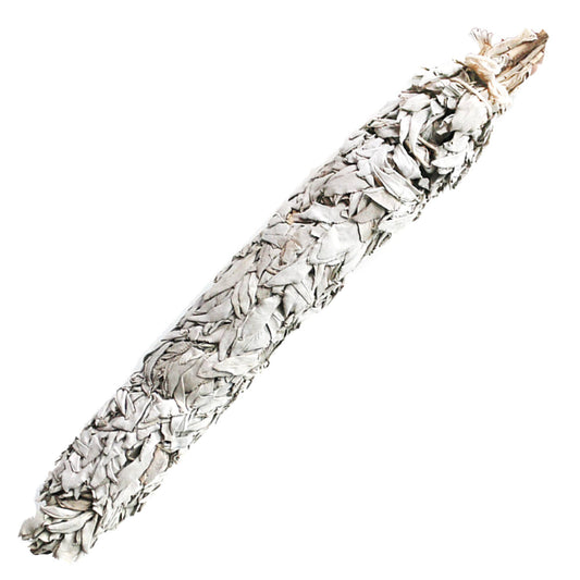 White Sage Smudge Stick - California Jumbo (20 in.)