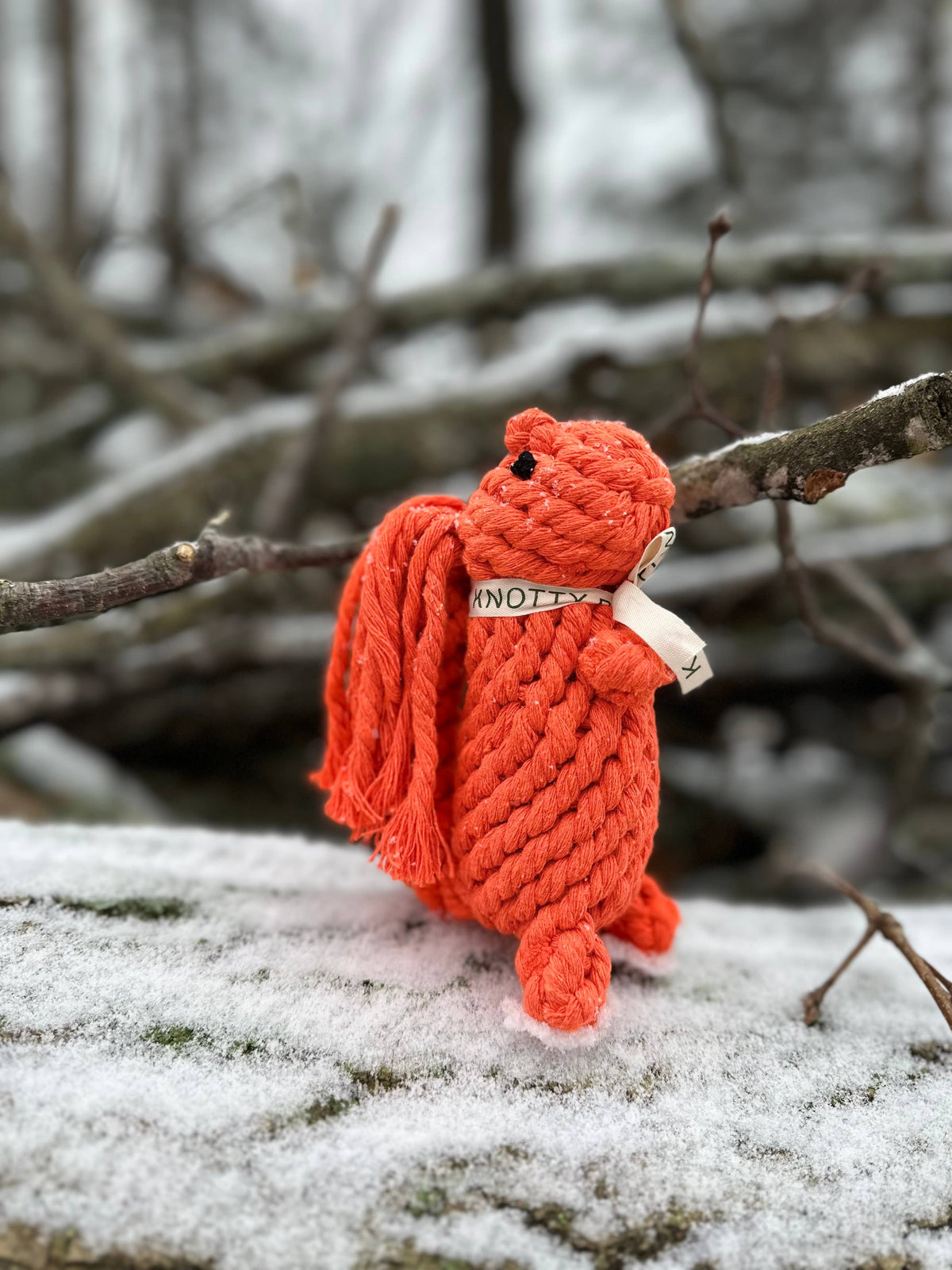 Oliver the Squirrel Rope Toy | Handcraft : Large
