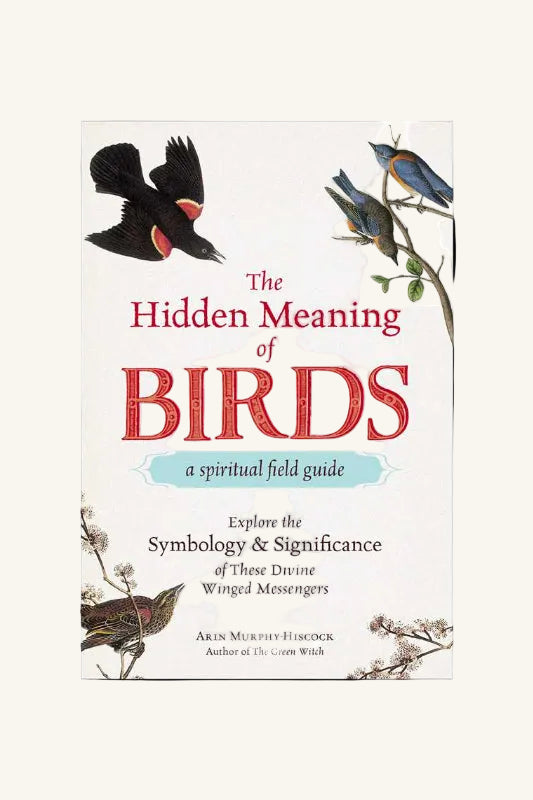 Hidden Meaning of Birds--A Spiritual Field Guide by Arin Murphy-Hiscock: