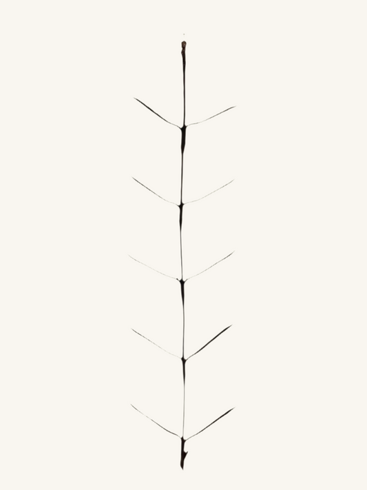 Antique iron corn dry rod