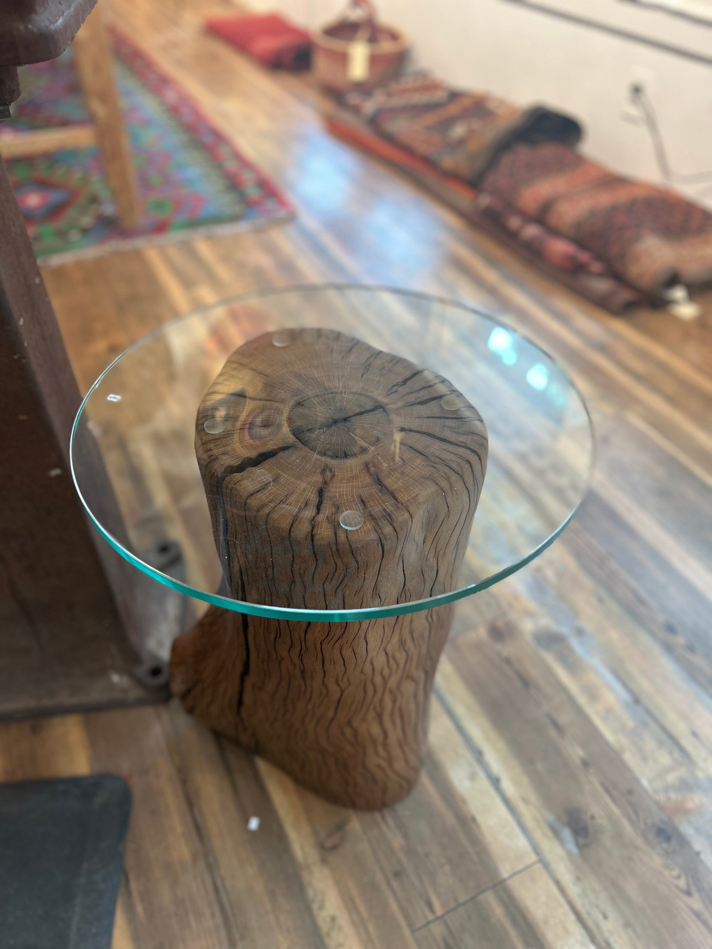 The Survivor by John Kennedy