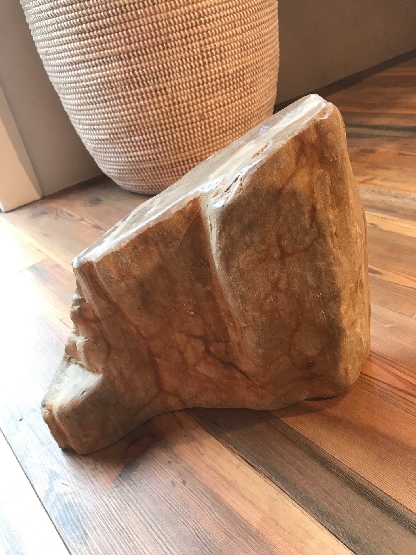 petrified wood door stop