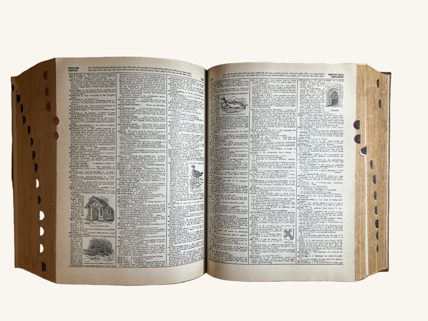 Vintage 1946 Webster's Dictionary