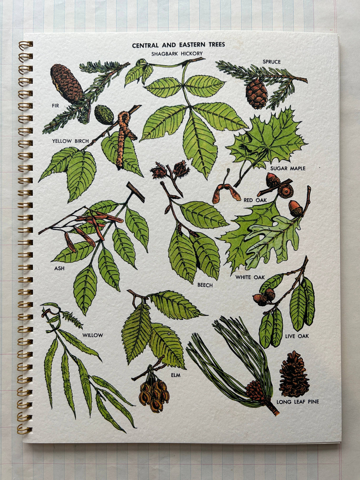 Nature Guides Notebook : Types of Packs Lined