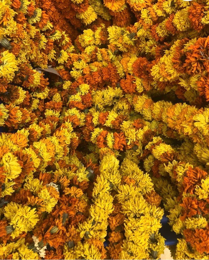 Dried Marigold Garlands