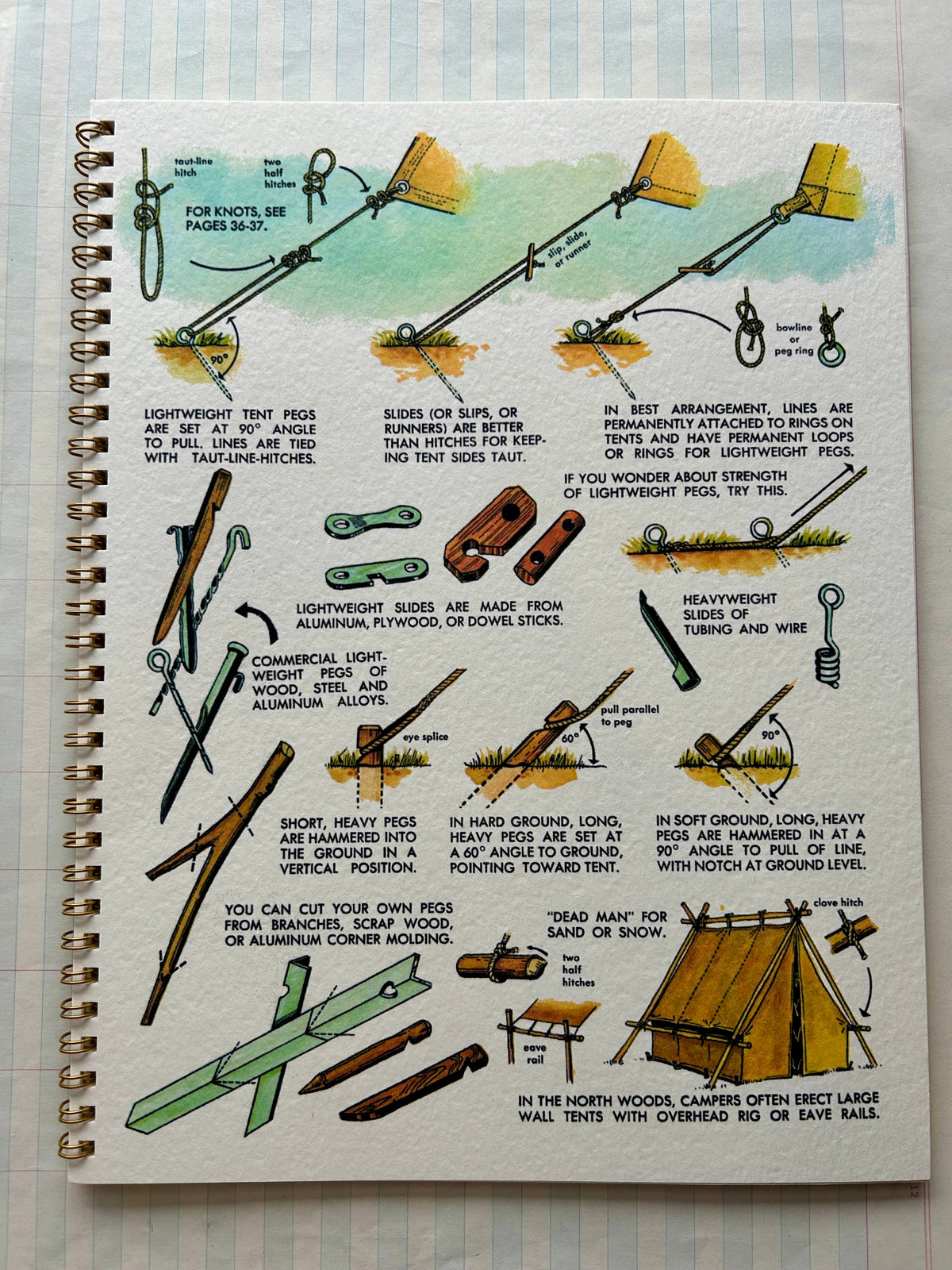 Nature Guides Notebook : Types of Packs Lined