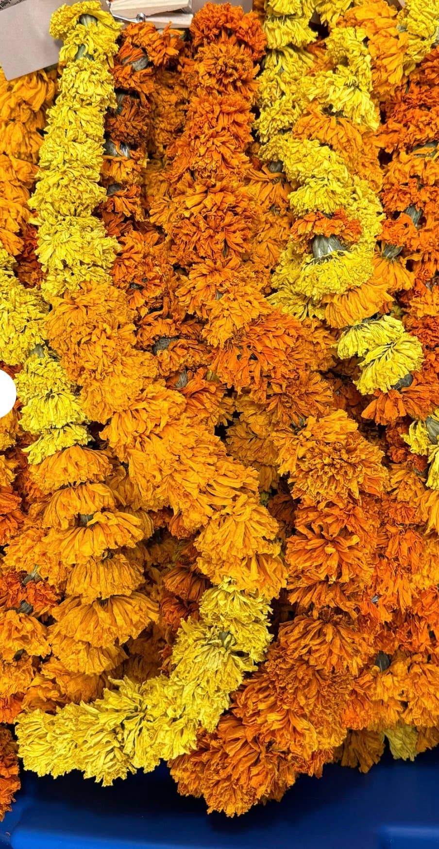 Dried Marigold Garlands