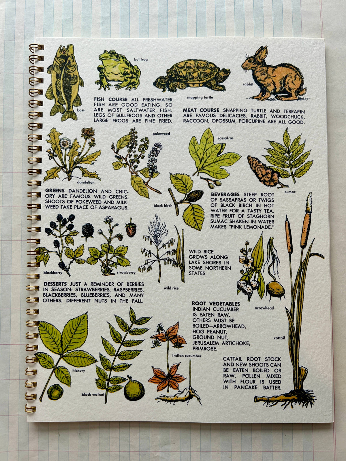 Nature Guides Notebook : Types of Packs Lined