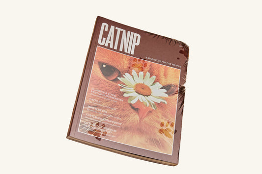Catnip Magazine