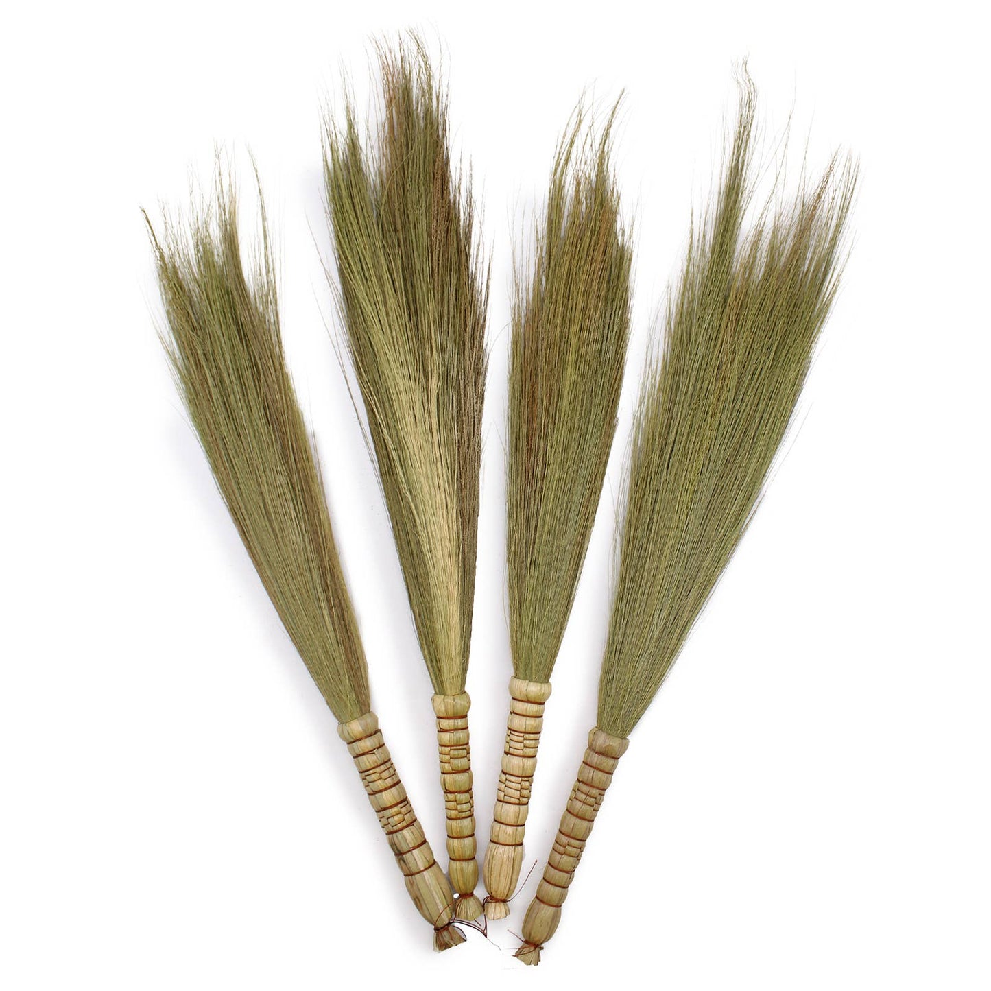 Indonesian Pampus Broom