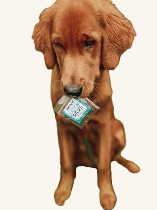 Farm Hound Dog Treat