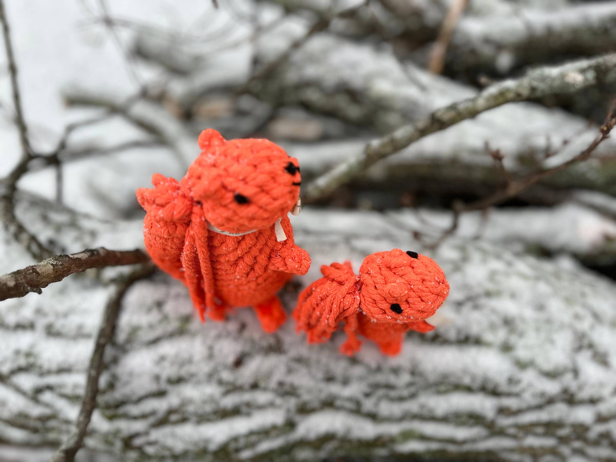 Oliver the Squirrel Rope Toy | Handcraft : Large