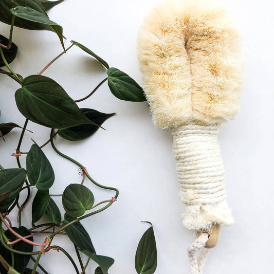 Natural Sisal Dry Brush - Sustainable Eco Friendly: Long Handle