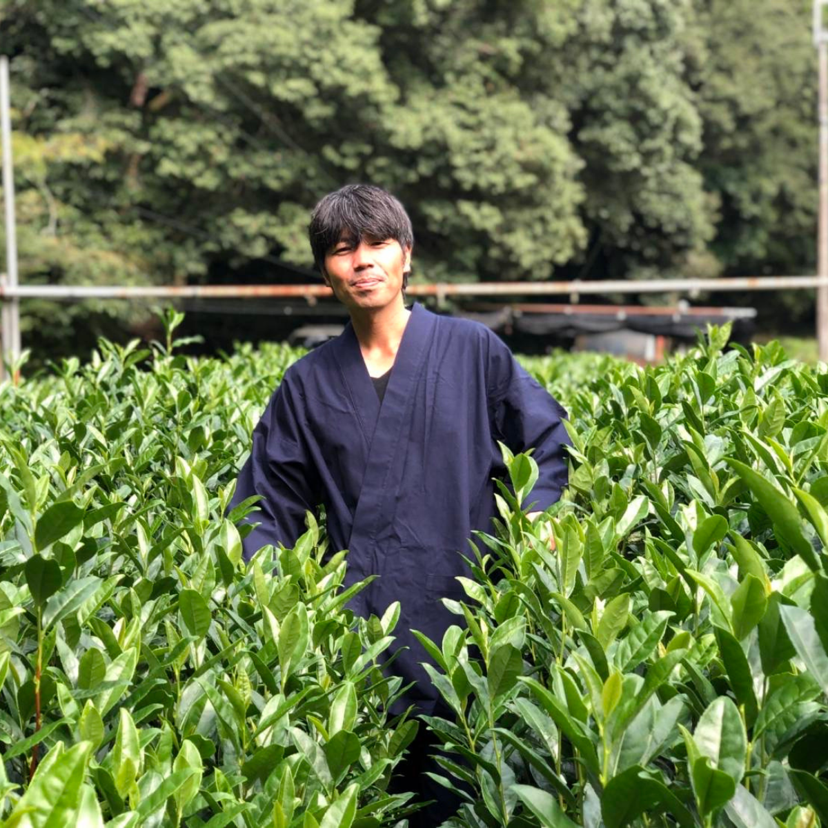 Organic Yuzu Hojicha, 0.84 oz