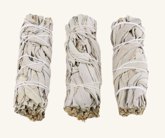 California White Sage Smudge Stick (4 in.)