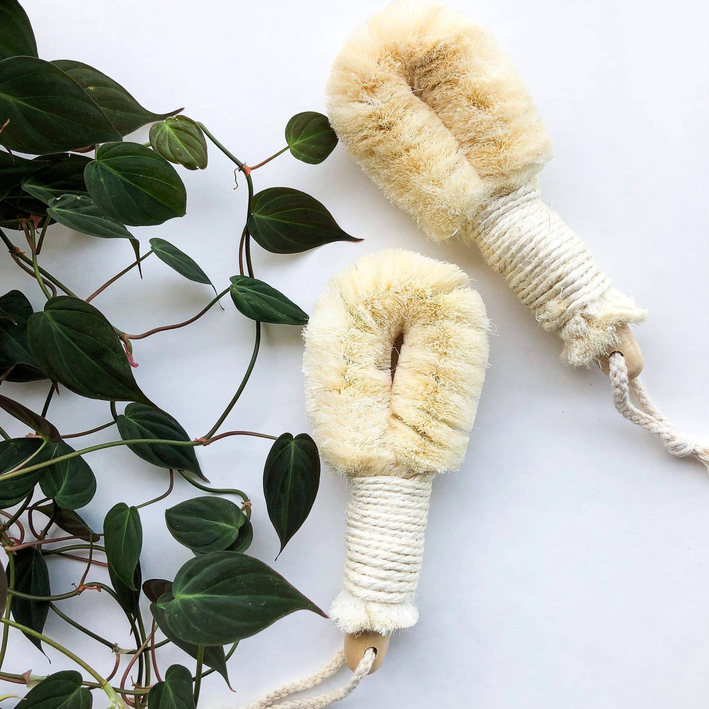 Natural Sisal Dry Brush - Sustainable Eco Friendly: Long Handle