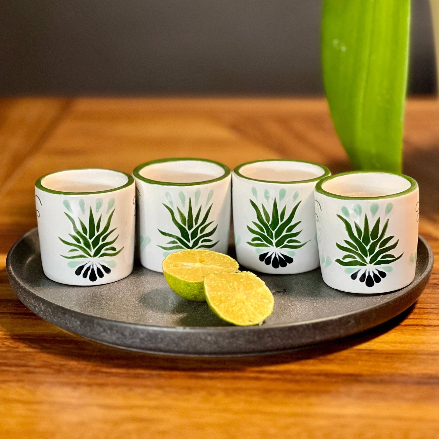 Short Agave Shot Glasses - set of 4