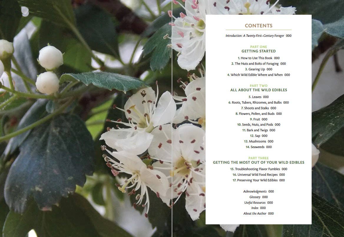 Skillful Forager: Essential Techniques for Responsible ...